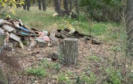 Екоінспектори Поліського округу притягнули до відповідальності чотирьох порушників за засмічення лісу відходами