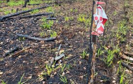 Трагедія у прикордонні на Житомирщині: пʼятеро людей загинули, наїхавши на вибухові пристрої