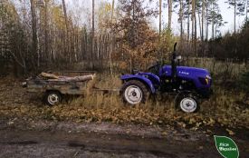 У Коростишівському лісництві загинув «чорний» лісоруб