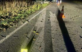 Смертельна ДТП на Звягельщині: загинула 19-річна пасажирка, водія травмовано