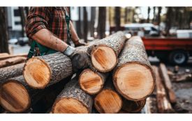 На провідних товарних біржах спостерігається позитивна тенденція щодо виконання договорів купівлі-продажу деревини - АДПУ (Новини компаній)