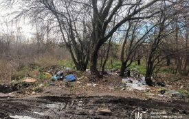 У Житомирі знову виявлено несанкціоновані сміттєзвалища вздовж дороги до полігону ТПВ