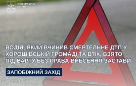 Водія, який вчинив смертельне ДТП у Хорошівській громаді та втік, взято під варту без права внесення застави