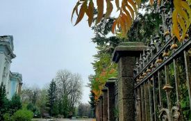 У Житомирі буде досить тепла погода з туманами