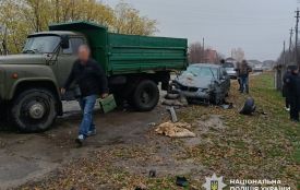 ДТП у Брусилові:  BMW збив комунальника, який прибирав сміття на узбіччі