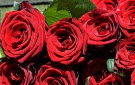 На щиті повернувся Герой — житомирянин Анатолій Гвоздь