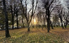 8 листопада: яке сьогодні свято, прикмети і заборони, прогноз погоди у Житомирі