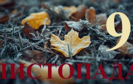 9 листопада: все про цей день, яке церковне свято, що не можна робити і погода у Житомирі