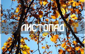 Теплий листопад: якою буде температура до кінця місяця