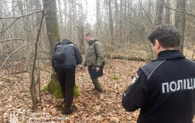 На території Оліївської територіальної громади виявлено незаконну порубку дубів на понад 360 тисяч гривень