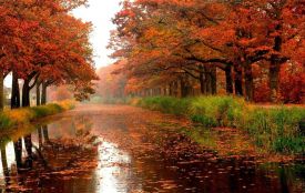 Дощі, тумани і поступове зниження температури: прогноз погоди на тиждень