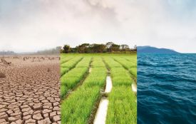 На Україну чекає зміна клімату до 2040 року