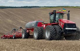 На Житомирщині вже висіяно понад 96% озимих культур