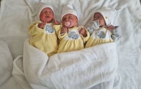 У Житомирі народилася трійня — дві дівчинки та хлопчик