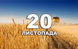 20 листопада: все про цей день, яке свято, що не можна робити і погода у Житомирі