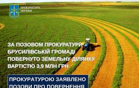 За позовом прокуратури Брусилівській громаді повернуто земельну ділянку площею понад 232 га
