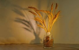 22 листопада: все про події, кого вшановує церква, що не можна робити і погода у Житомирі