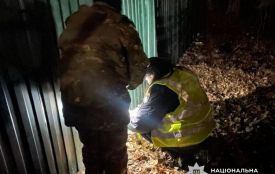 15-річна житомирянка народила дитину і кинула на смітнику