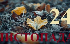 24 листопада: все про цей день, яке свято, що не можна робити і погода у Житомирі