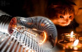 Графіки відключення світла на 24 листопада