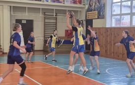 У Житомирі відбувся обласний турнір з баскетболу Спеціальної Олімпіади України