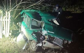 У ДТП на Звягельщині травми отримали 19-річний водій і його 16-річна пасажирка
