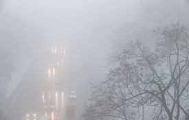 Зима розпочнеться у Житомирі осінньою погодою з дощами і туманами