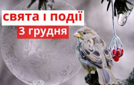 3 грудня: все про цей день, яке свято, традиції і погода у Житомирі
