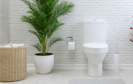 Сучасний унітаз: техніка, дизайн і комфорт без компромісів (Новини компаній)