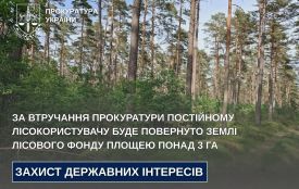 За втручання прокуратури постійному лісокористувачу буде повернуто землі лісового фонду площею понад 3 га