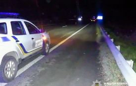 У ДТП на Звягельщині загинув пішохід
