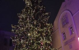 У День Святого Миколая у Житомирі запалять вогні на новорічній ялинці
