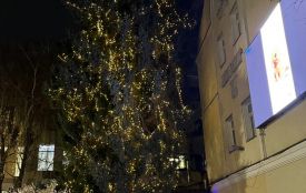 У День святого Миколая у Житомирі засвітили головну ялинку міста