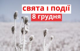 8 грудня: все про цей день, яке свято, що не можна робити і погода у Житомирі