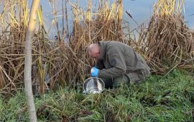 Екологи перевірили факт скиду стічних вод у ставок «Крошенський» у Житомирі