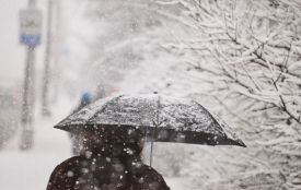 Найближчими днями у Житомирі буде хмарно, дощ і мокрий сніг
