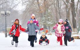 З 22 грудня ліцеї Житомира йдуть на тритижневі канікули