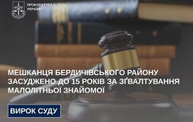 Мешканця Бердичівського району засуджено до 15 років за зґвалтування малолітньої знайомої
