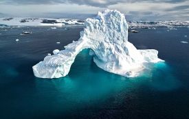 У Житомирі безоплатно покажуть документальний фільм Антона Птушкіна про Антарктиду — історію життя на краю світу