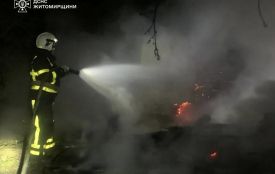 У селі Зелена Діброва згорів дерев’яний будинок — загинула людина