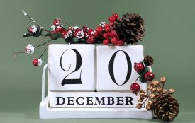 20 грудня: все про цей день, яке церковне свято, традиції і погода у Житомирі