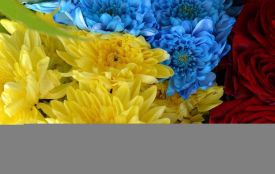 У Житомирі попрощалися із героїчно загиблим на Донеччині Олексієм Бондарчуком