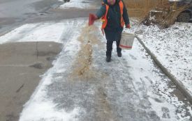 У Житомирі засніжило: комунальники обробили протиожеледною сумішшю вулиці та тротуари