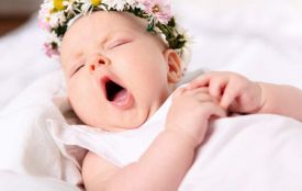 На Житомирщині від початку року народилося 5815 дітей