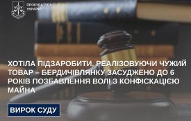 Хотіла підзаробити, реалізовуючи чужий товар – бердичівлянку засуджено до 6 років позбавлення волі з конфіскацією майна