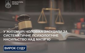 23-річного житомирянина засудили на 6 років 11 місяців позбавлення волі за систематичне психологічне насильство над матір’ю