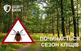 На Житомирщині стартував сезон кліщів