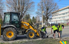Висівають траву, відкривають троянди, фарбують опори та прибирають мости: у Житомирі триває весняна толока