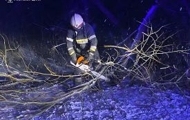 Рятувальники долали наслідки негоди: розпилювали повалені дерева і буксирували застрягле авто