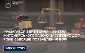 Намагався вбити сина – жителя Житомирського району засуджено до 7 років 6 місяців позбавлення волі